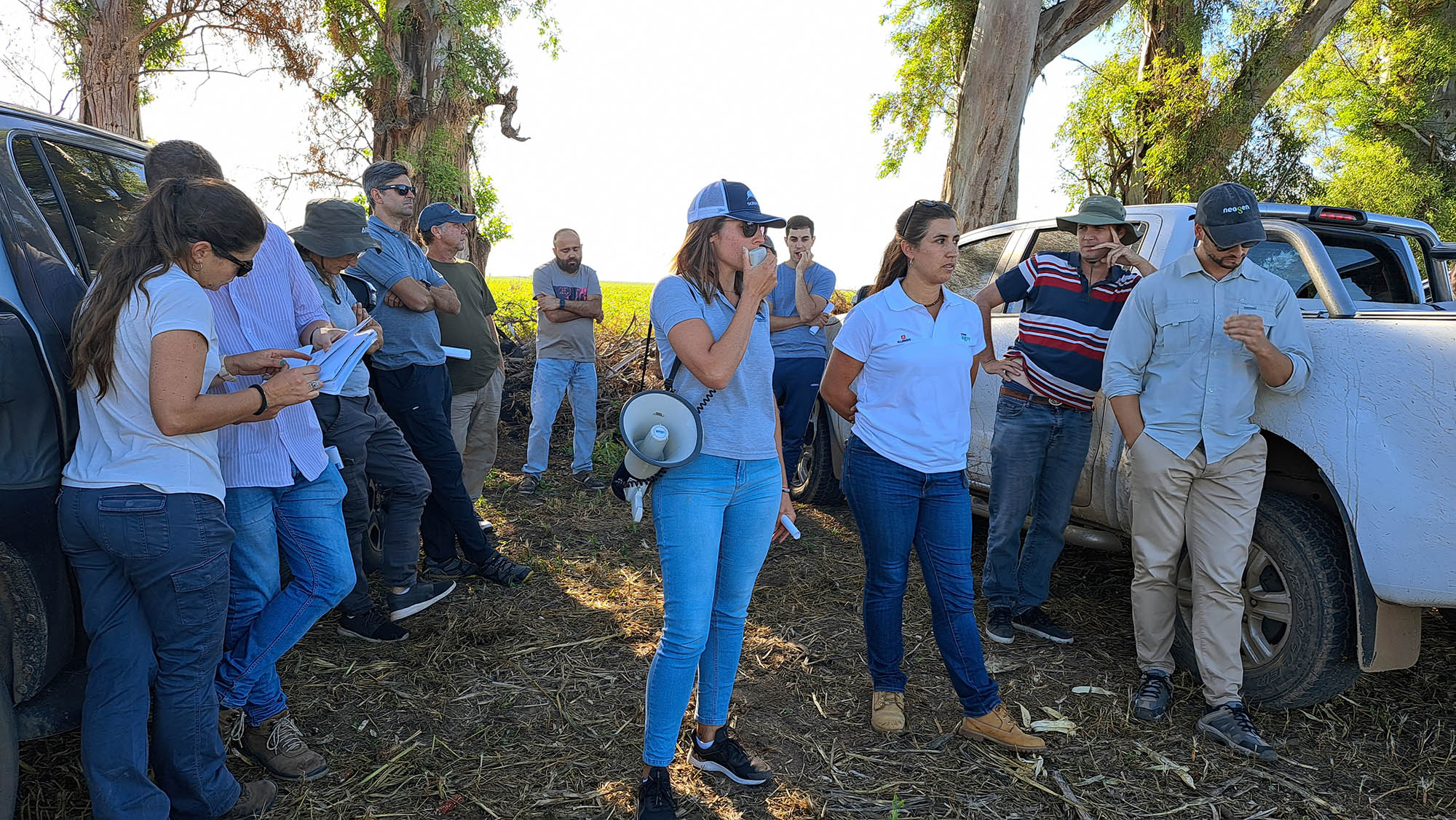 Giras agronómicas CREA, encuentros abiertos a campo y de alto valor agronómico